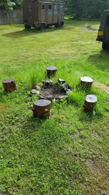 a group of tree stumps in a grass field at Pine Cabin, Strathyre. A cosy escape from it all. in Strathyre