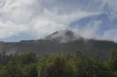 a mountain obscured by clouds with trees in the foreground at Pine Cabin, Strathyre. A cosy escape from it all. in Strathyre