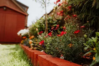 a row of red flowers in a garden at Dawn Break Guest House in Largs