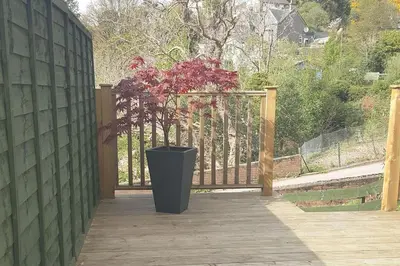 a plant in a black pot on a wooden fence at Machrie Cottage, Oban, in Oban