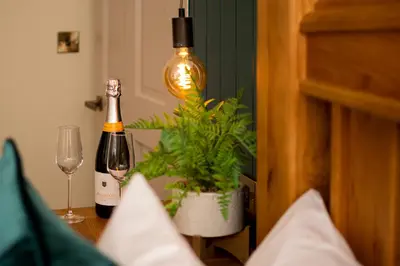 a bottle of champagne and a plant on a table at Station View, Dunblane in Dunblane