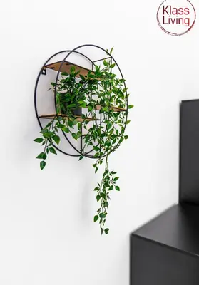 a plant in a hanging basket on a table at Garturk Apartment by Klass Living Coatbridge in Coatbridge