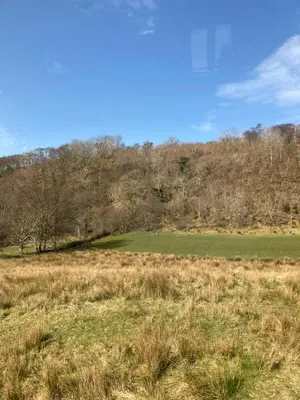 a field of grass with trees in the background at Springbank Apartment - Sleeps 4 - Pet Friendly in Fort William