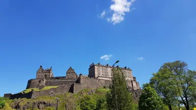 a castle on top of a hill with trees at Stylish Central Edinburgh Apartment in Edinburgh