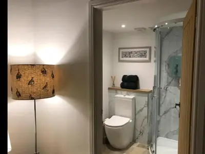 a bathroom with a toilet and a shower and a lamp at The Bothy - your unique luxury refuge in Saint Fillans