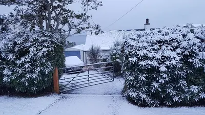 a snow covered driveway with a gate and two bushes at The Old Ferryhouse in Port Appin