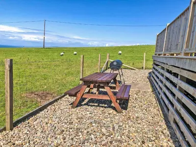 a picnic table and a grill in a field with sheep at Ballygroggan Bungalow - Uk38174 in Machrihanish