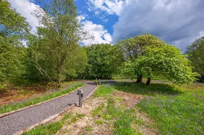 a winding road in a park with trees at Ewe pod, luxury glamping pod with hot tub, Croft4glamping in Benderloch