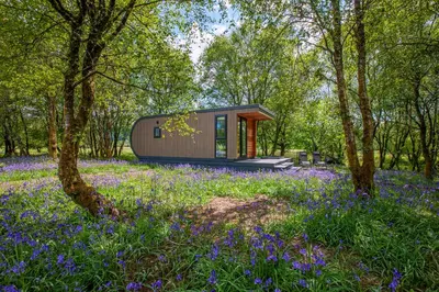a tiny house in the woods with purple flowers at Ewe pod, luxury glamping pod with hot tub, Croft4glamping in Benderloch