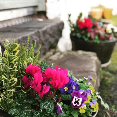 a bouquet of flowers in a flower garden at Nether Glenny Farm in Stirling