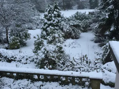a snow covered christmas tree in a garden at Tanllan Apartment in Callander