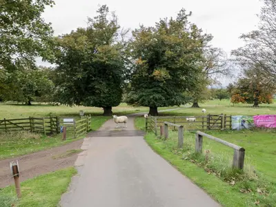 a sheep walking down a road in a field at Gate Lodge, House of Binns in Linlithgow