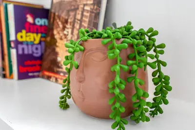 a vase with a green plant growing out of it at Cheerful Stays - Livingston - 4 Bedroom 3 Bath home in Livingston