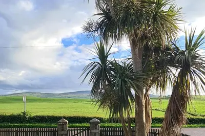 two palm trees with a fence and a green field at 4 Bed Cottage Sleeps 6-Pet-Friendly-Private Garden in Campbeltown