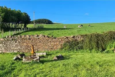a stone wall in a field with horses in the background at 4 Bed Cottage Sleeps 6-Pet-Friendly-Private Garden in Campbeltown