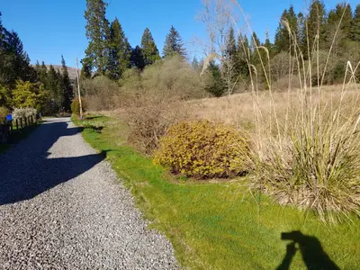 a shadow of a person walking down a path at Pinetree Cottage, dog friendly, Holiday let, Callander Invertrossachs in Callander