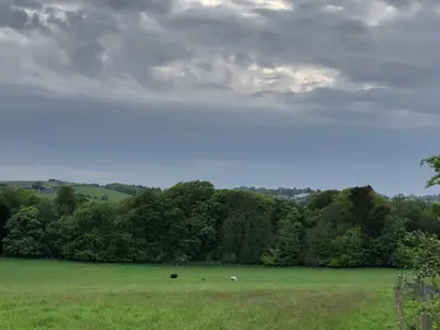 a field with a sheep in a field with trees at The Cottage, near Glasgow Milngavie in Milngavie