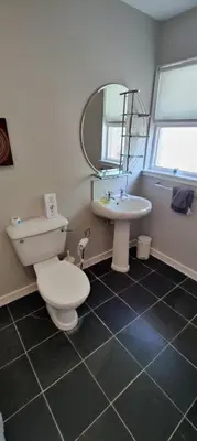 a bathroom with a toilet and a sink and a mirror at Ben Reoch Cottage - Loch Lomond and Arrochar Alps in Tarbet