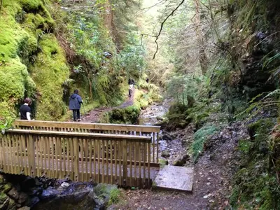 a wooden bridge over a stream in a forest at Pucks Glen Lodges - Cosy Lodges in a Woodland Setting in Dunoon