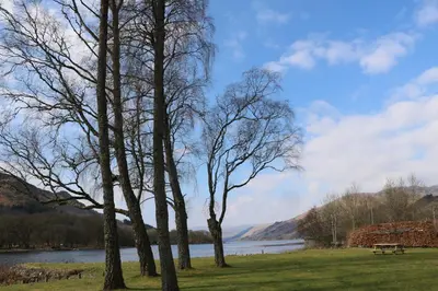 a park with trees and a bench next to a lake at Red Kite Lodge in Crieff