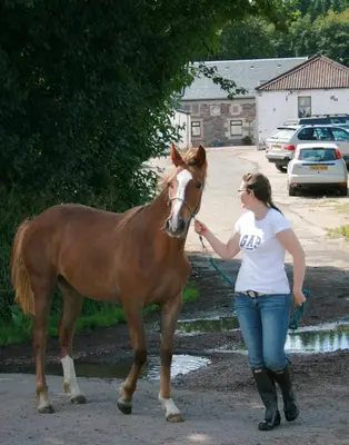 a woman walking a brown horse on a street at Corehouse Farm Cottages - Dairy, Granary & Sawmill in Lanark
