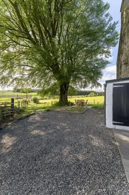 a tree in the middle of a gravel driveway at Wilsons Cottage in Falkirk