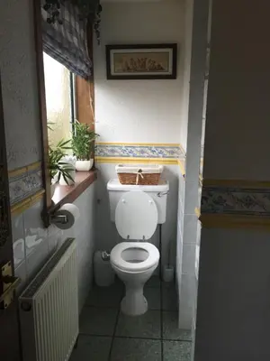 a small bathroom with a toilet and a window at Rooms at Tarrareoch in Bathgate