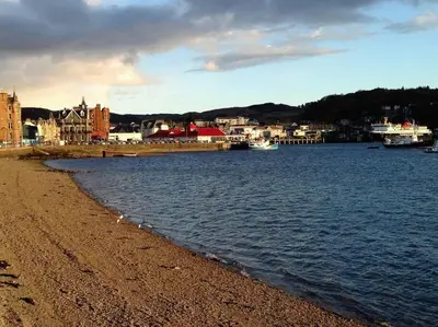 a beach with birds on the shore of a body of water at Westbay Seafront Apartment in Oban