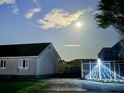 a christmas tree with lights on a fence at Seven Seasons in Caldercruix
