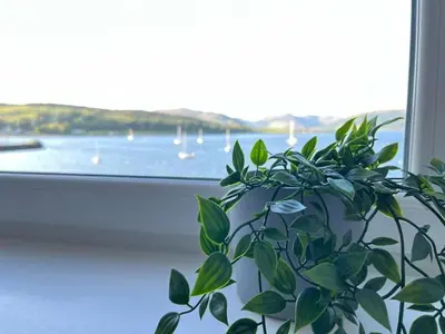 a plant in a window with a view of the water at Beautiful Upper Apartment/Stunning Sea Views, Isle of Bute in Port Bannatyne