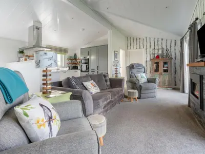 a living room with a couch and a fireplace at Chalet Loch Leven Lodge 16 Robin's Nest by Interhome in Kinross