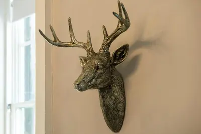a bronze deer head hanging on a wall at Gorgeous apartment in the heart of New Town in Edinburgh