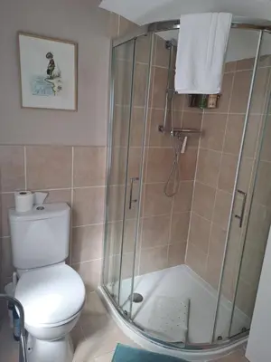 a bathroom with a toilet and a glass shower at B&B at No 4 in Biggar