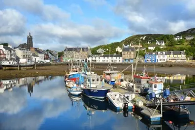 a group of boats are docked in a harbor at Achaglachgach Stables in Tarbert