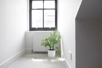 a plant in a white room with a window at JOIVY Luxury Flat near Edinburgh Castle in Edinburgh