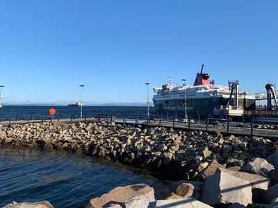 a large group of birds on a pier with a boat at Holmbyre Smithy in Dalry