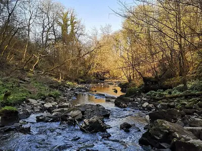 a river with rocks and trees in the background at Holmbyre Smithy in Dalry