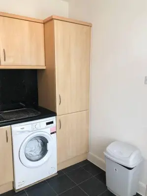 a laundry room with a washing machine and a toilet at Light & Spacious Loch Lomond Apartment in Alexandria