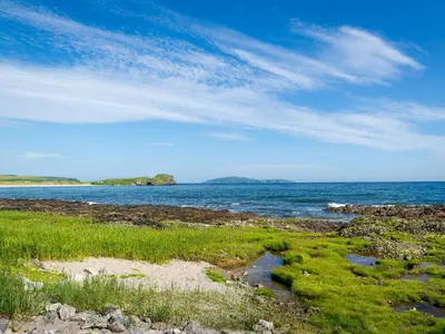 a beach with a body of water and green grass at Port Righ Cottage in Carradale