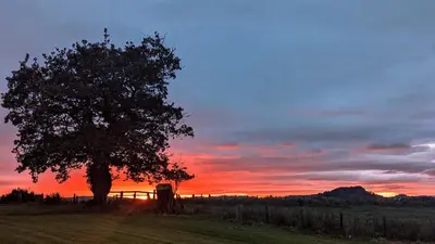 a tree in a field with a sunset in the background at FINN VILLAGE - Loch Lomond Sunset Glamping Pod - Private Ofuro HOT TUB in Drymen