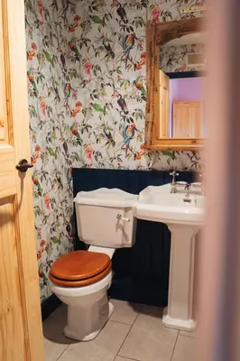 a bathroom with a toilet and a sink at Shepherds Forge, Loch Tay in Aberfeldy
