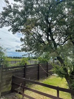 a wooden fence with a tree in front of it at 2-Bedroom Caravan Located in Uddingston, Glasgow at Maryville Caravan Site in Uddingston