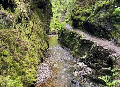 a small stream in a canyon with a mountain at Brookfield in Sandbank