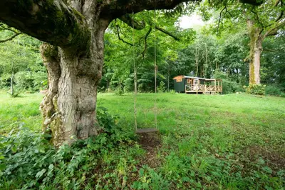 a swing hanging from a tree in a field at Cosy Cute Cabin with Large Veranda & Outdoor Bath in Glasgow