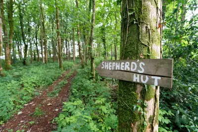 a sign on a tree in a forest at Cosy Cute Cabin with Large Veranda & Outdoor Bath in Glasgow