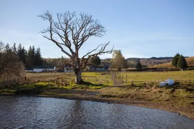 a tree in a field next to a river at New Build Lodge With Stunning Views of Loch Awe in Hayfield
