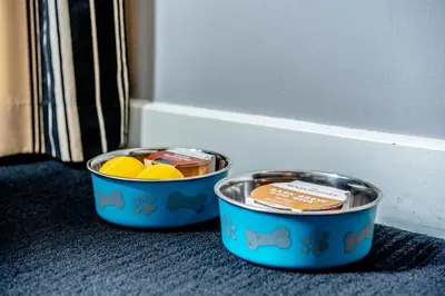 two metal containers with food in them on the floor at Colessio in Stirling