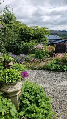 a garden with purple flowers and other plants at Fyne Byre Cottage - Barn Conversion with Hot Tub in Cairndow