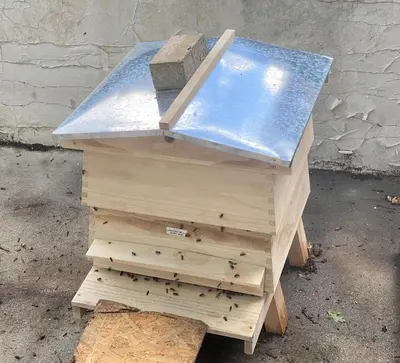 a wooden beehive with a glass top on top at Unique Orchard Lodge for couples with hot tub in Strathaven