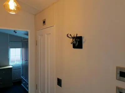 a room with a deer head on the wall at Salmon-Leap Lodge in Dollar